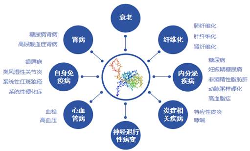 图示, 日程表描述已自动生成 图示, 日程表描述已自动生成
